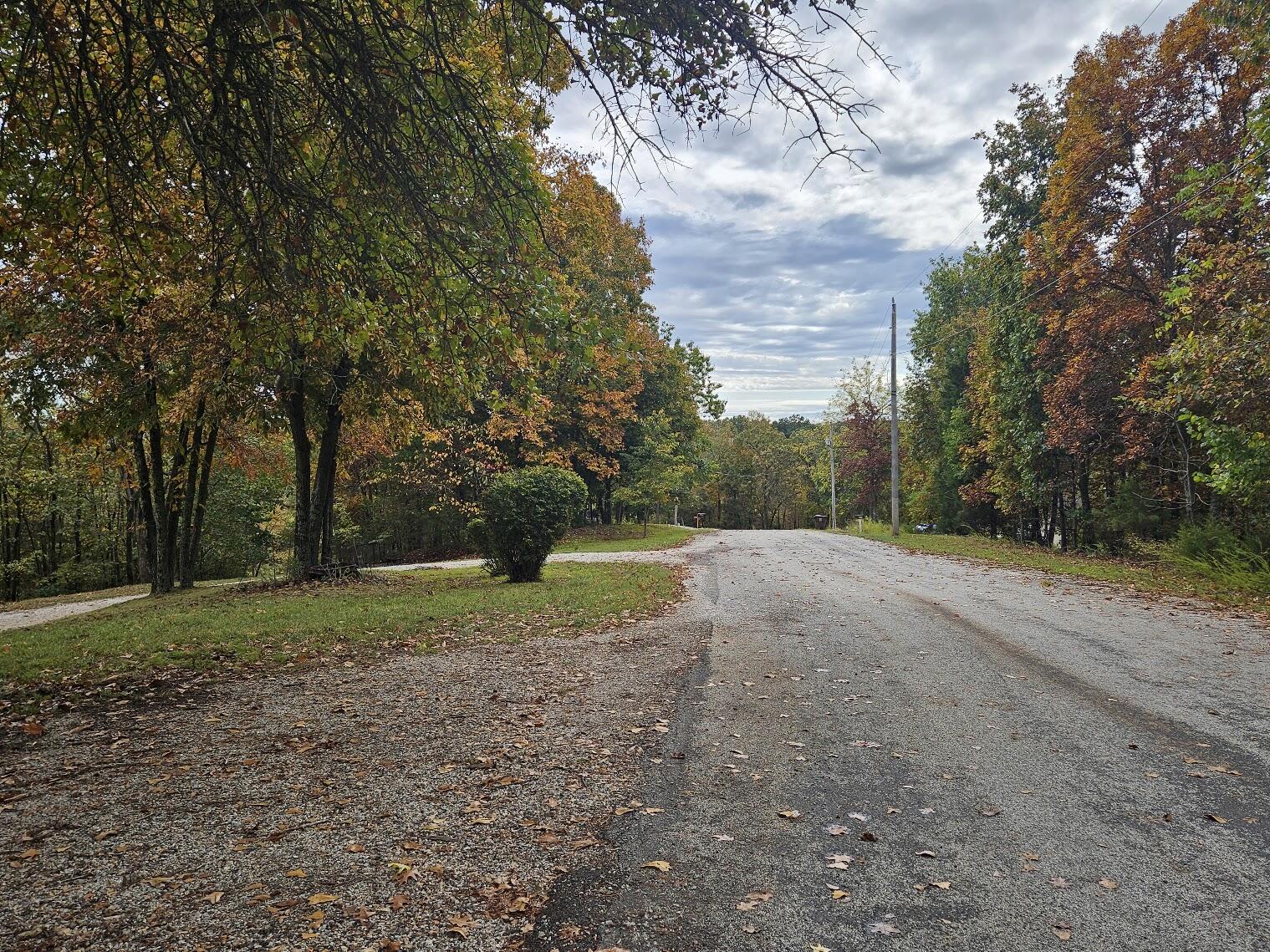 main property photo 48