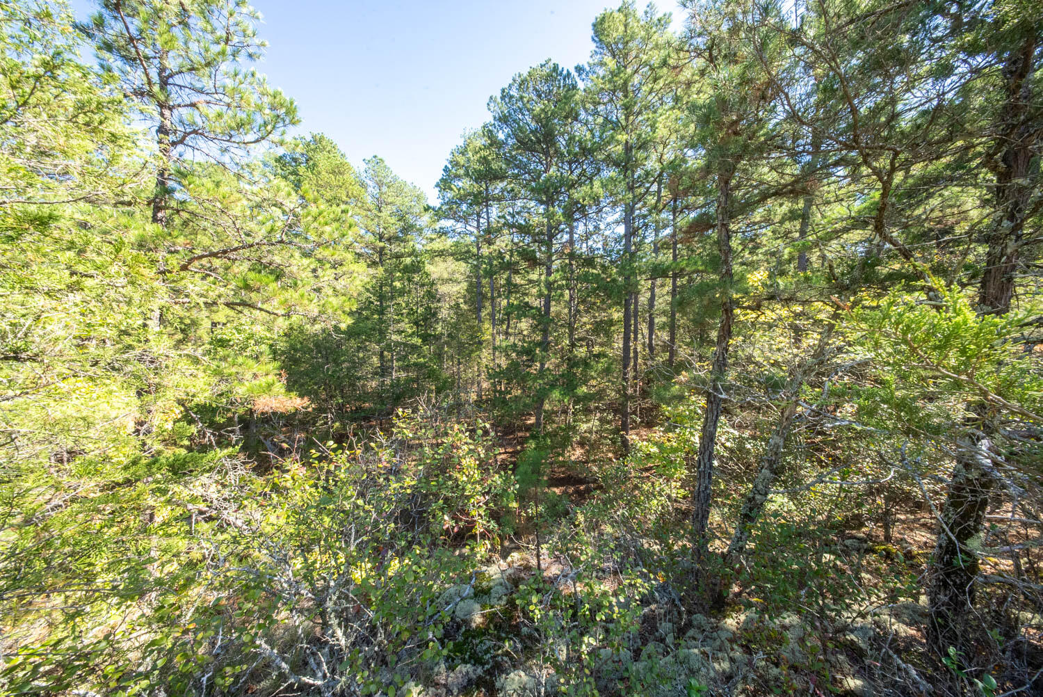 main property photo 15