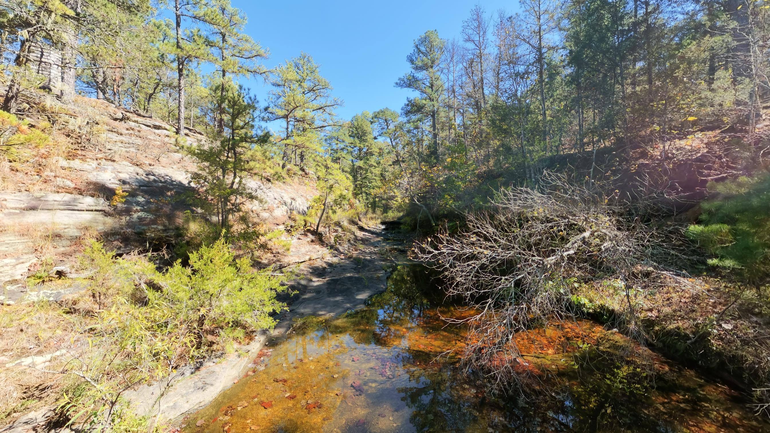 main property photo 37