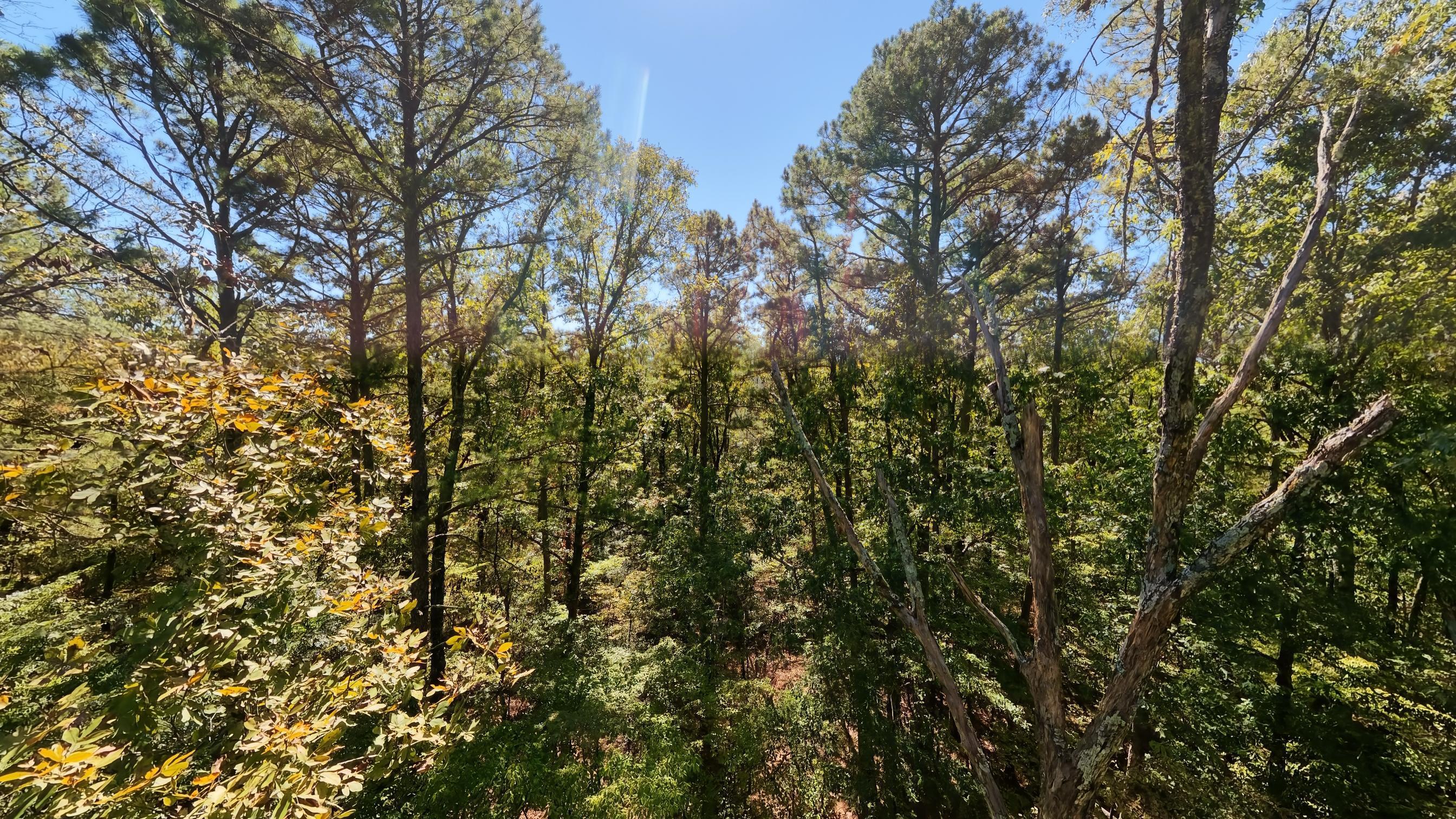 main property photo 49