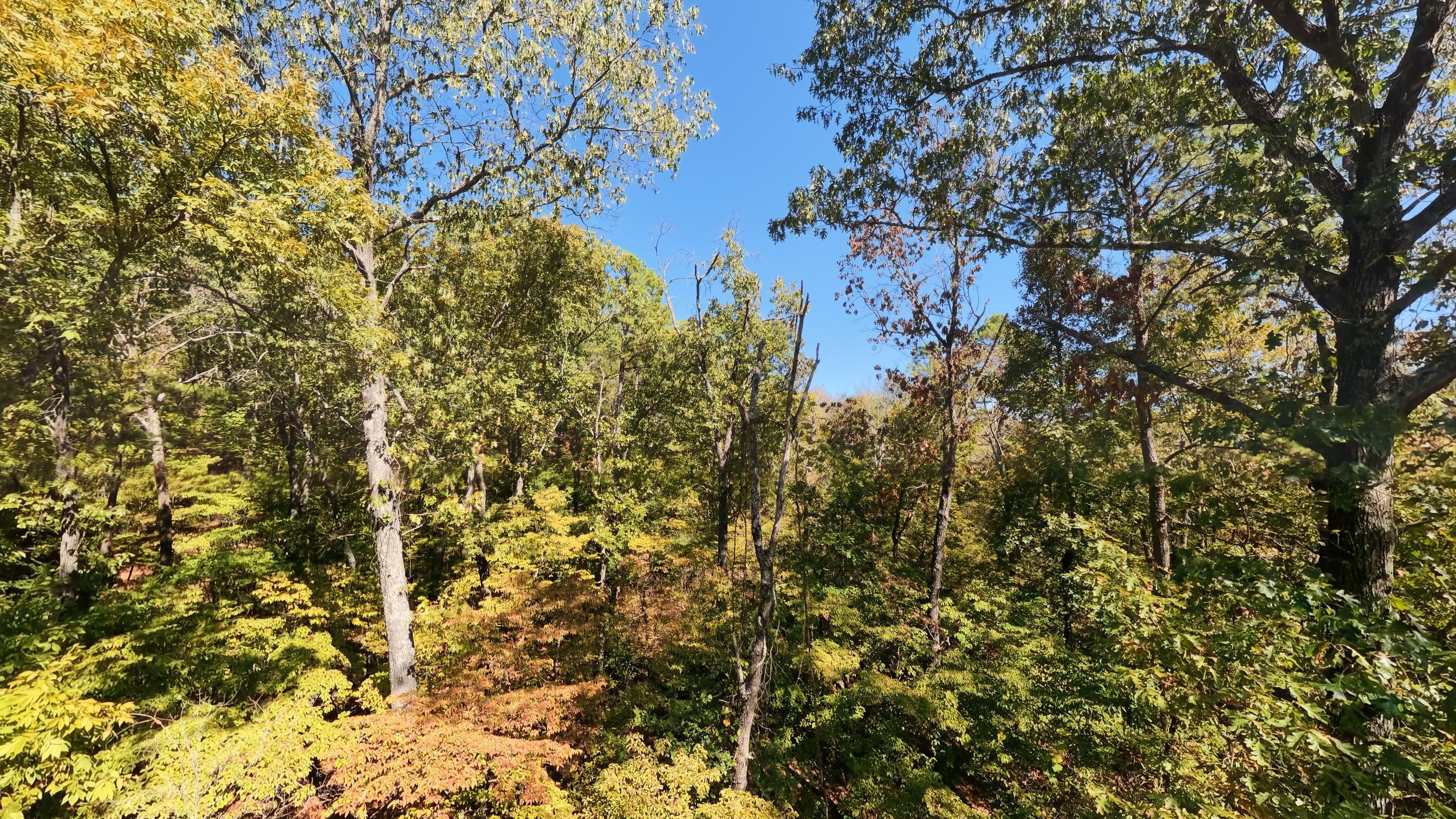 main property photo 50