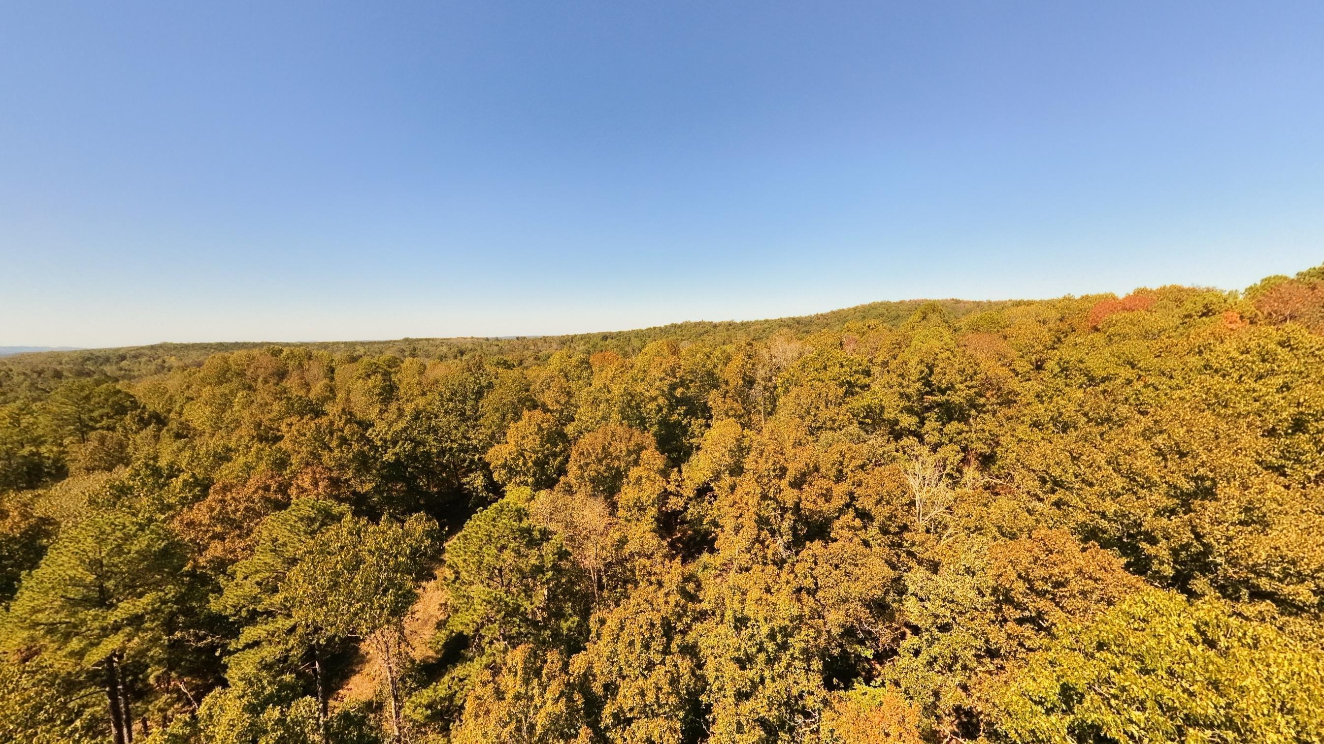 main property photo 51