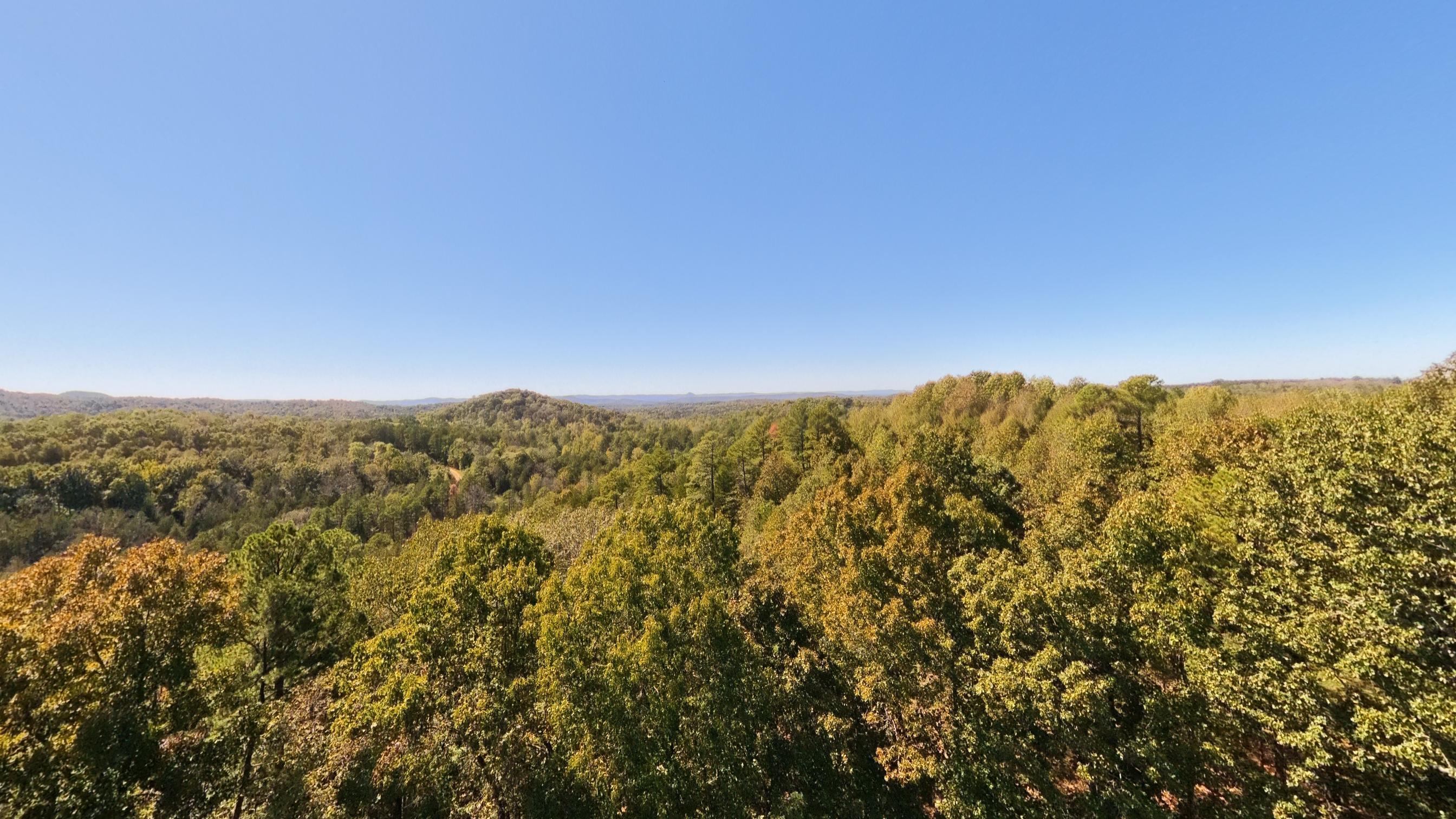 main property photo 55