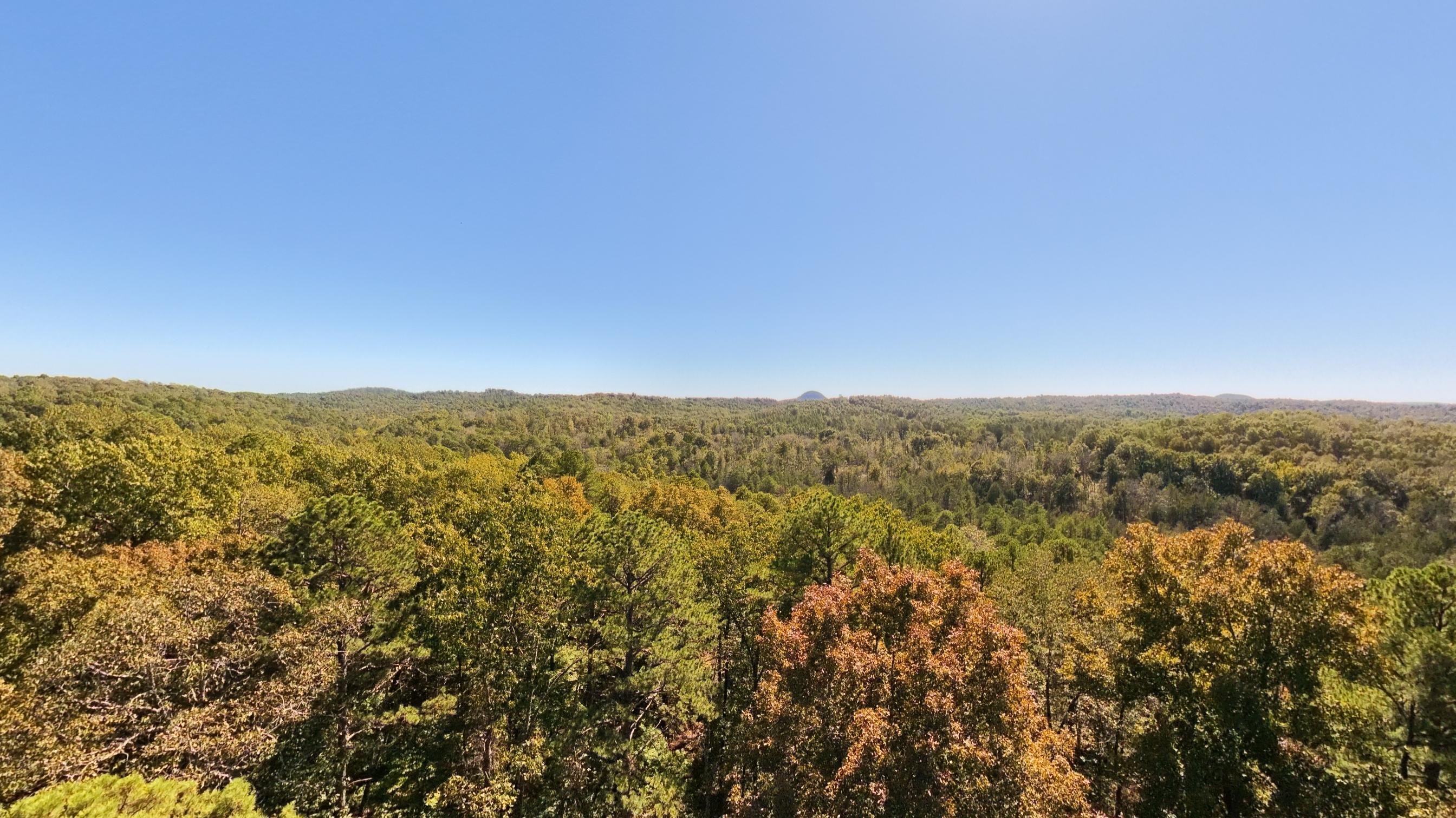 main property photo 56