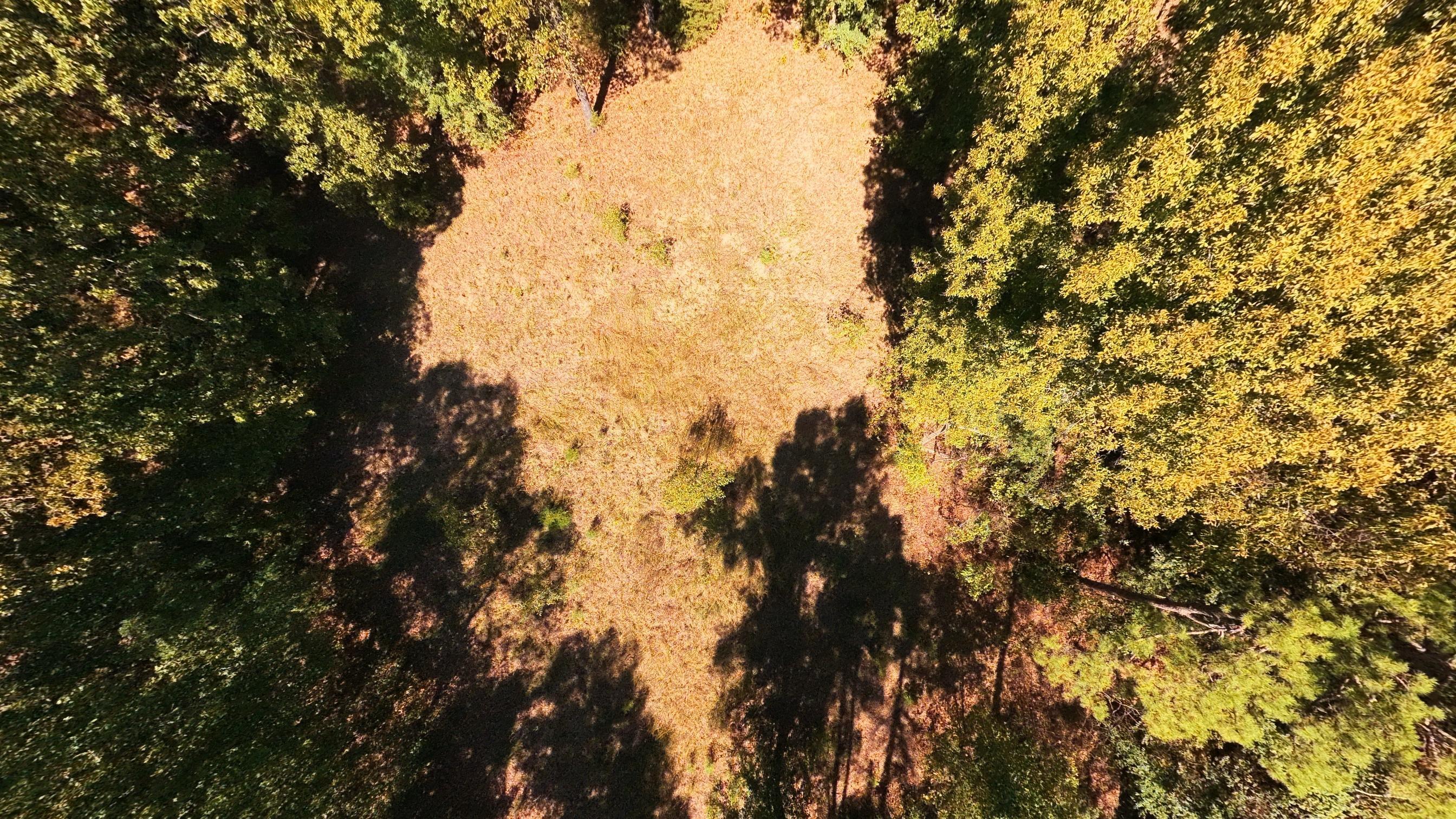 main property photo 57