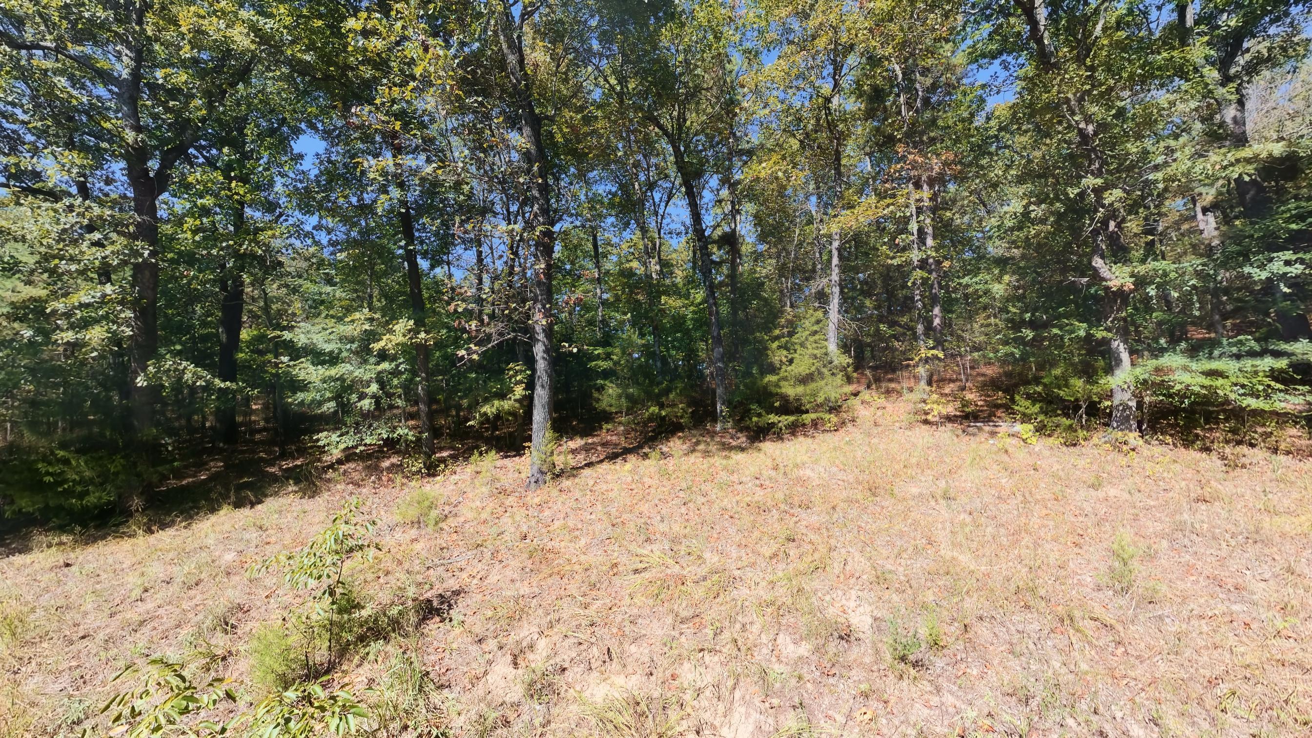 main property photo 58