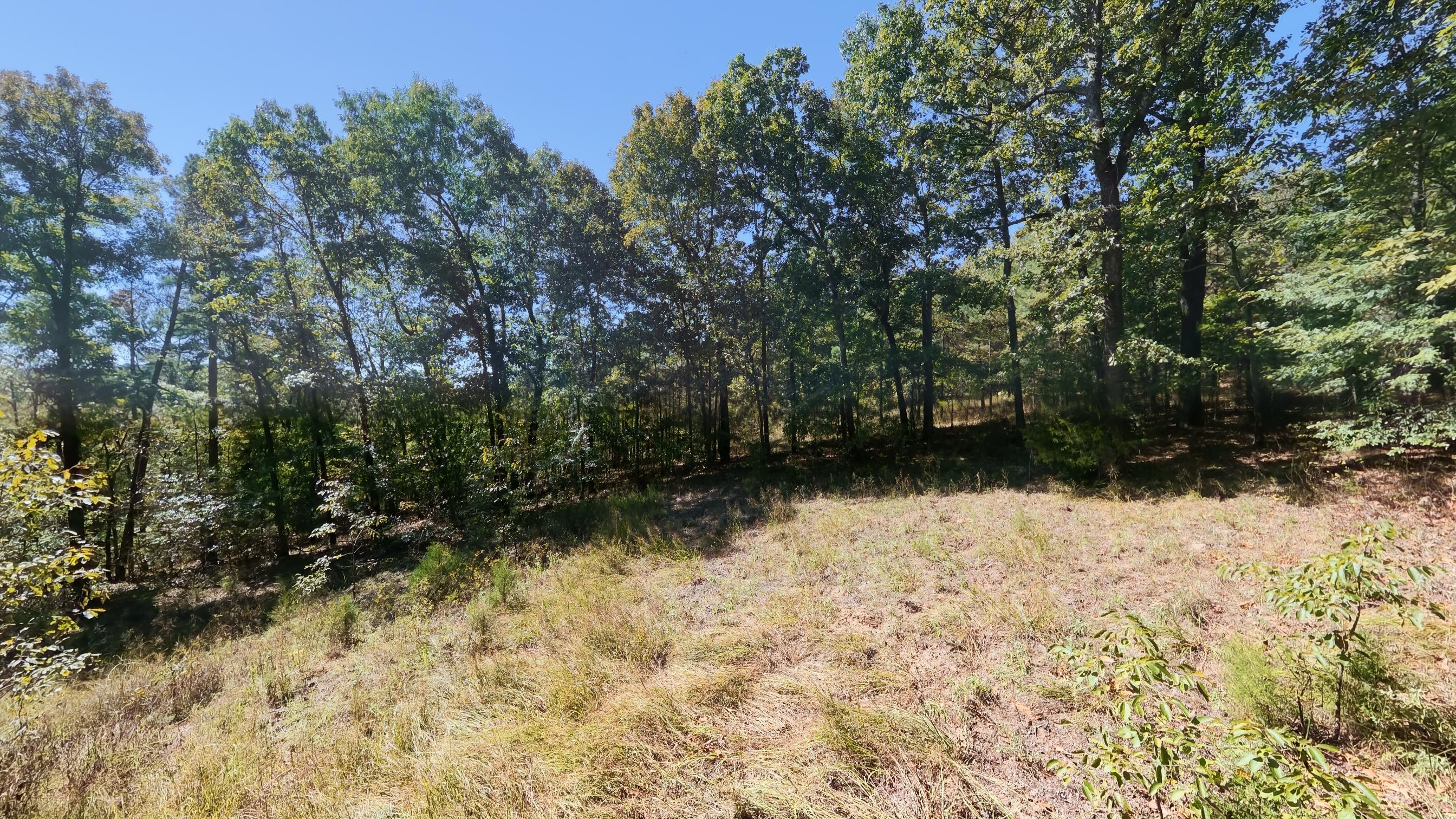 main property photo 59