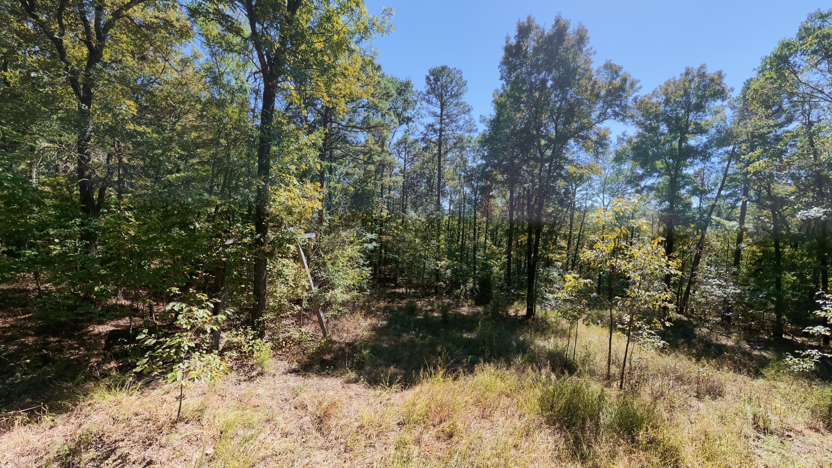 main property photo 60