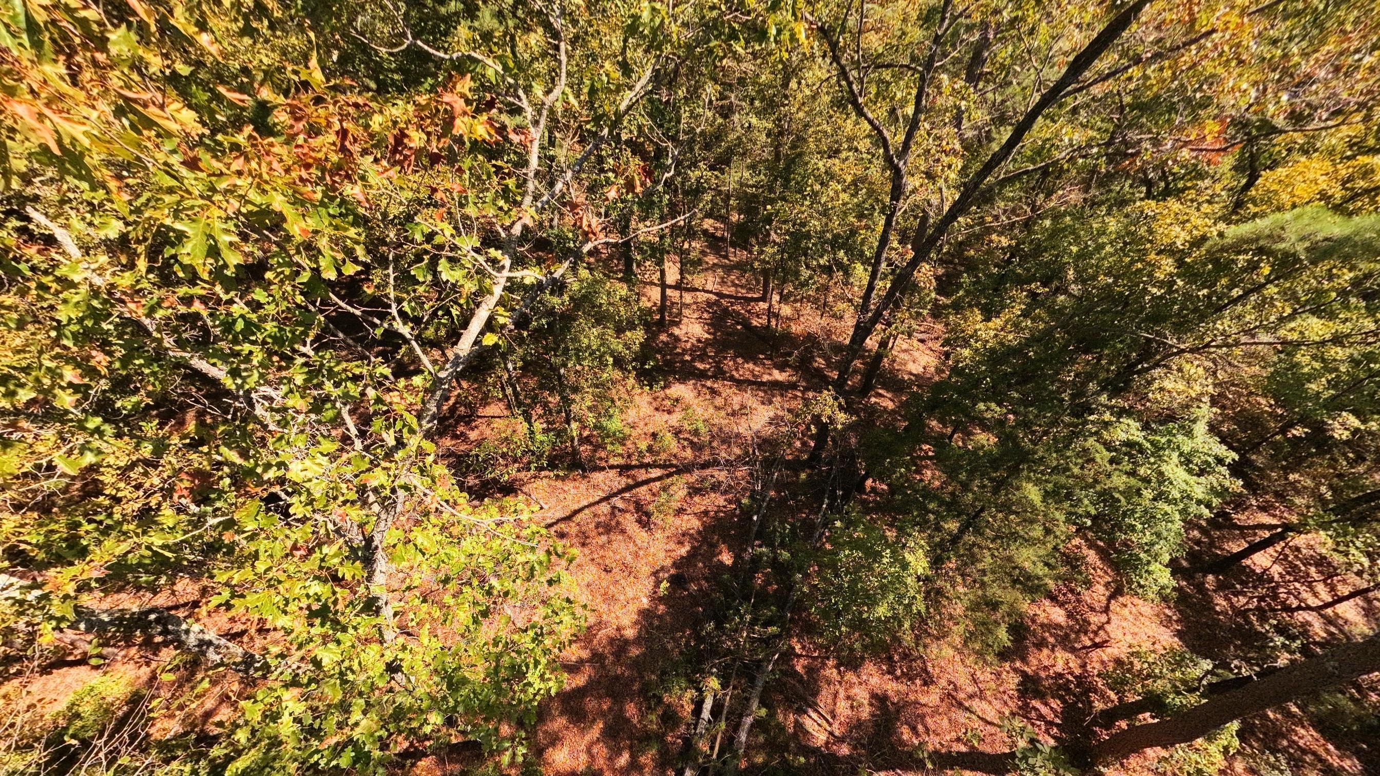 main property photo 61
