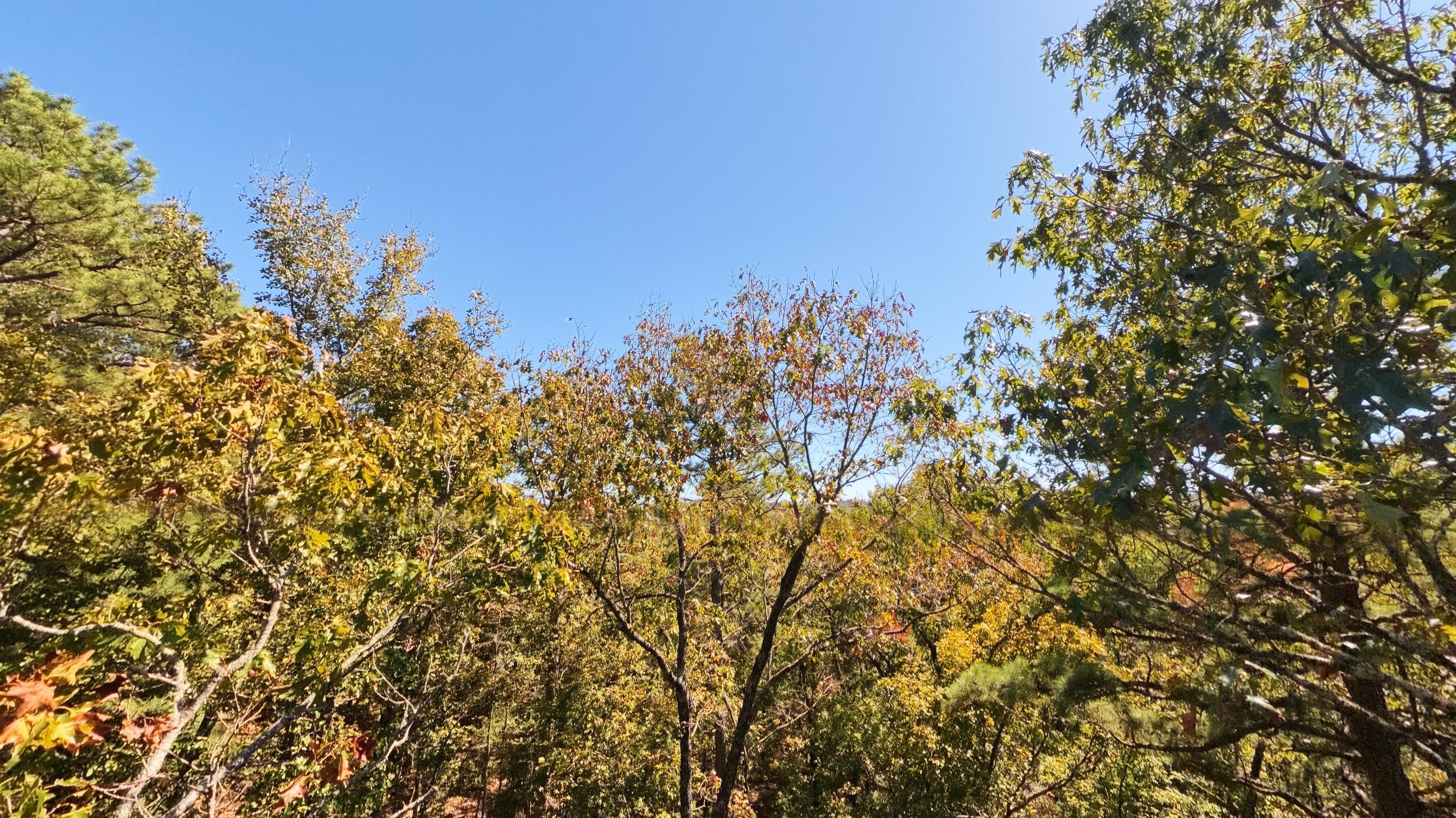 main property photo 62