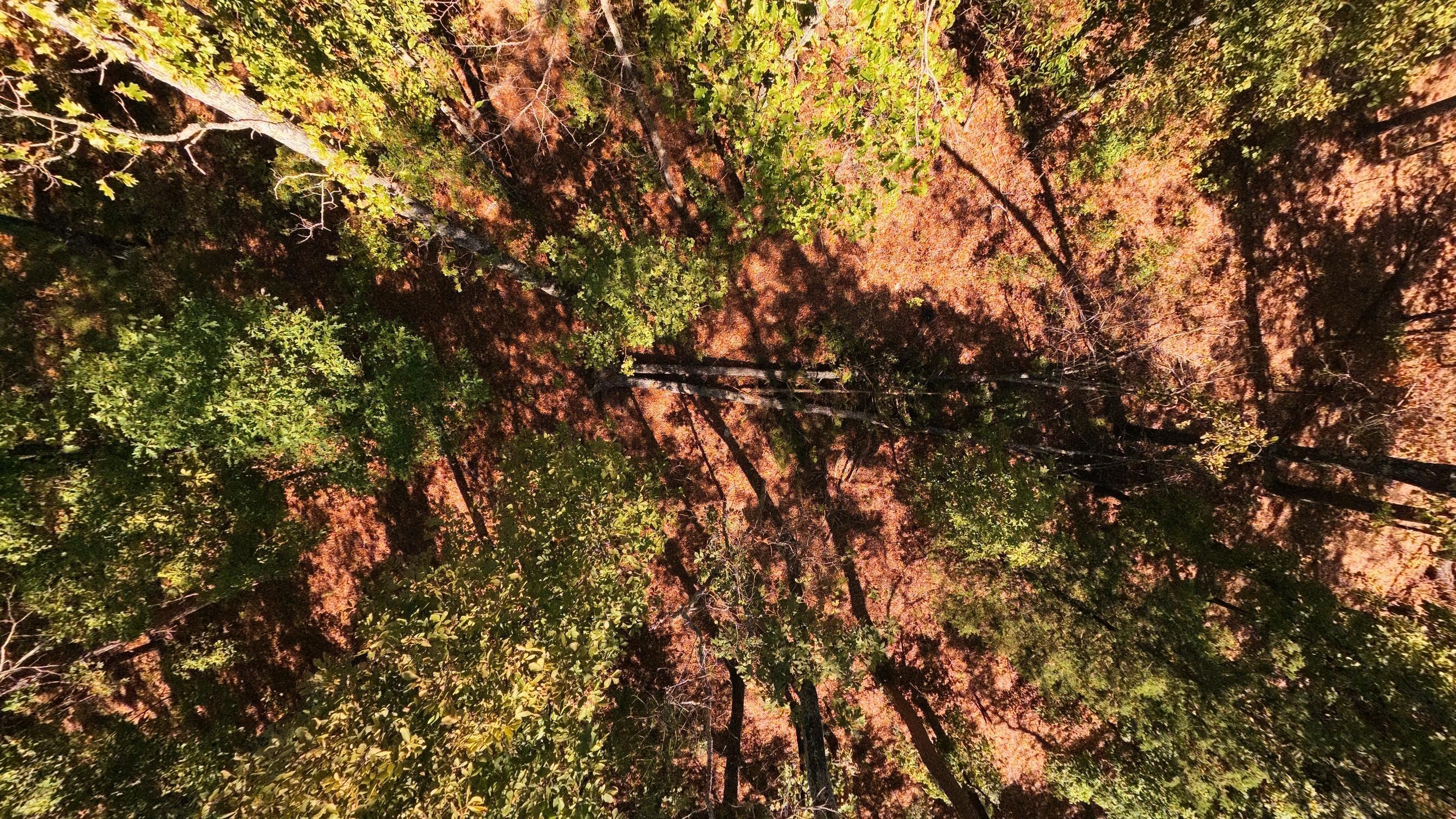 main property photo 64
