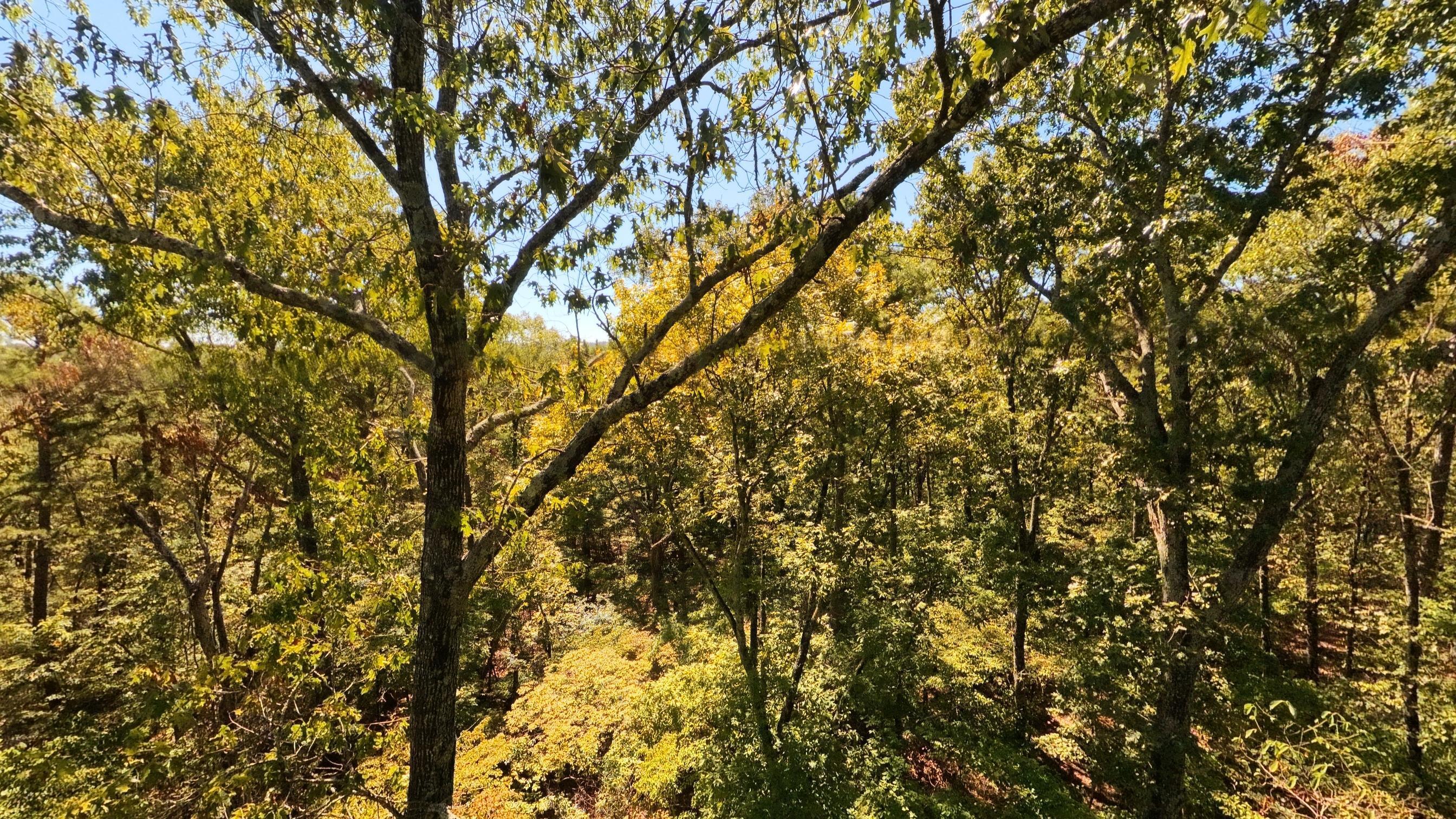 main property photo 65
