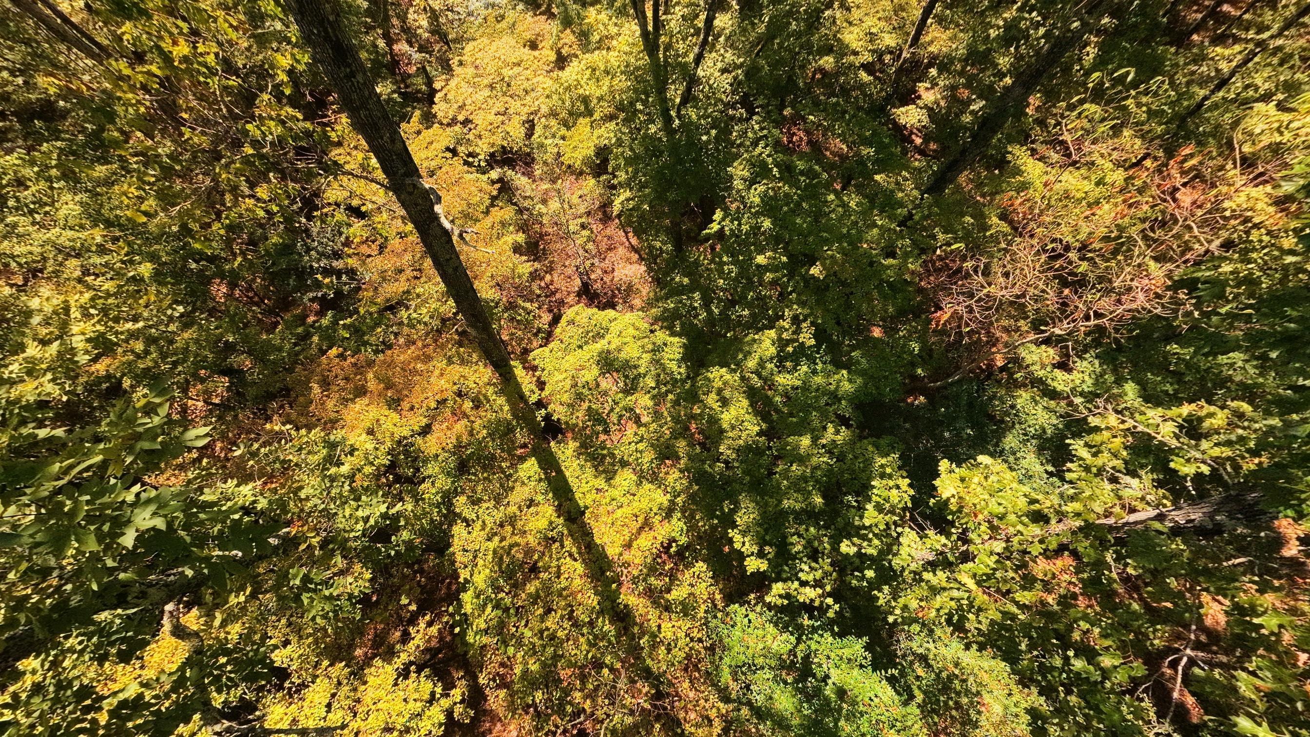 main property photo 66