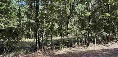 image of property with 0 Bed | 0 Bath | 0 Sqft
