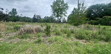 image of property with 0 Bed | 0 Bath | 0 Sqft