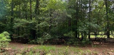 image of property with 0 Bed | 0 Bath | 0 Sqft