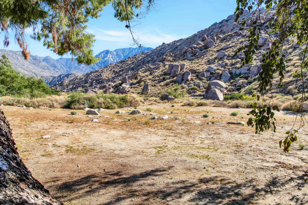 main property photo 39