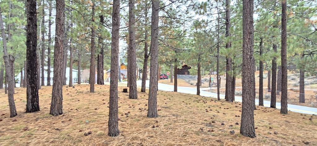 main property photo 10