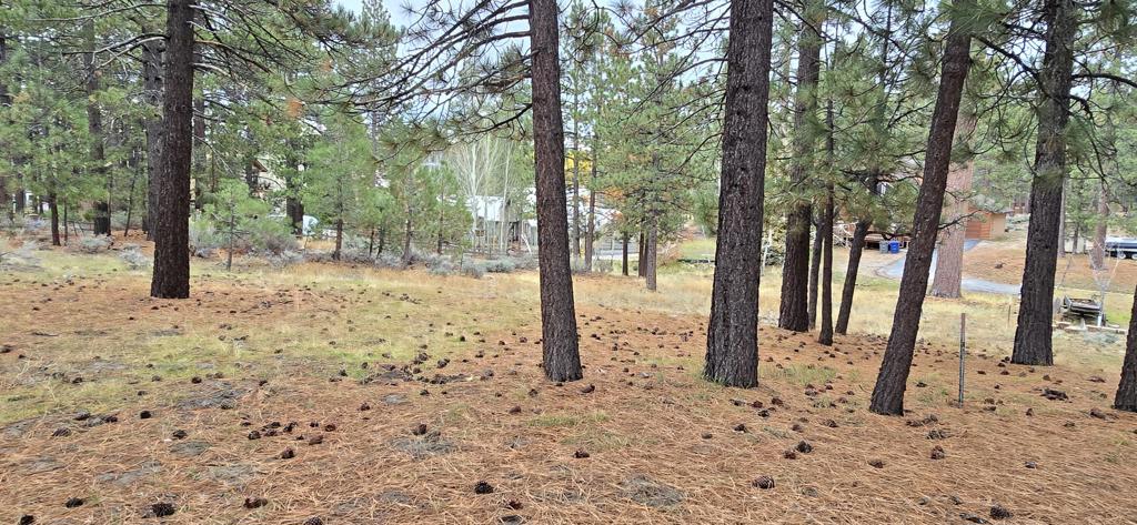 main property photo 11