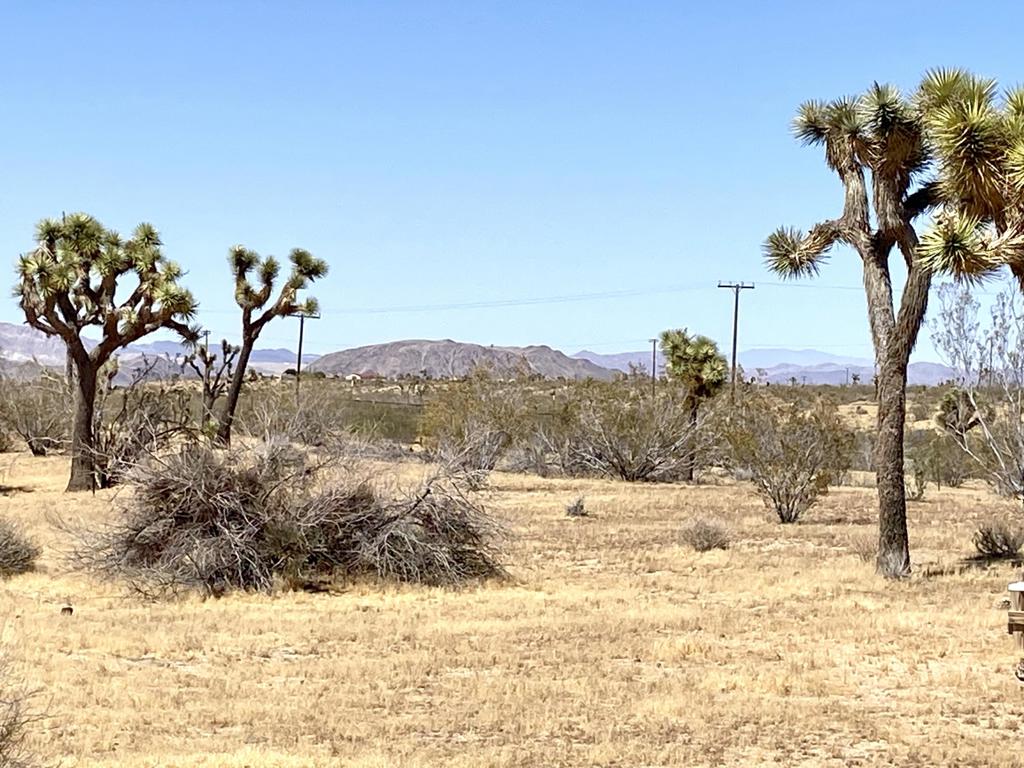main property photo 55