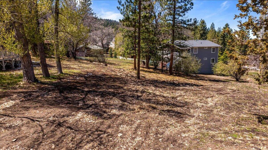 main property photo 10