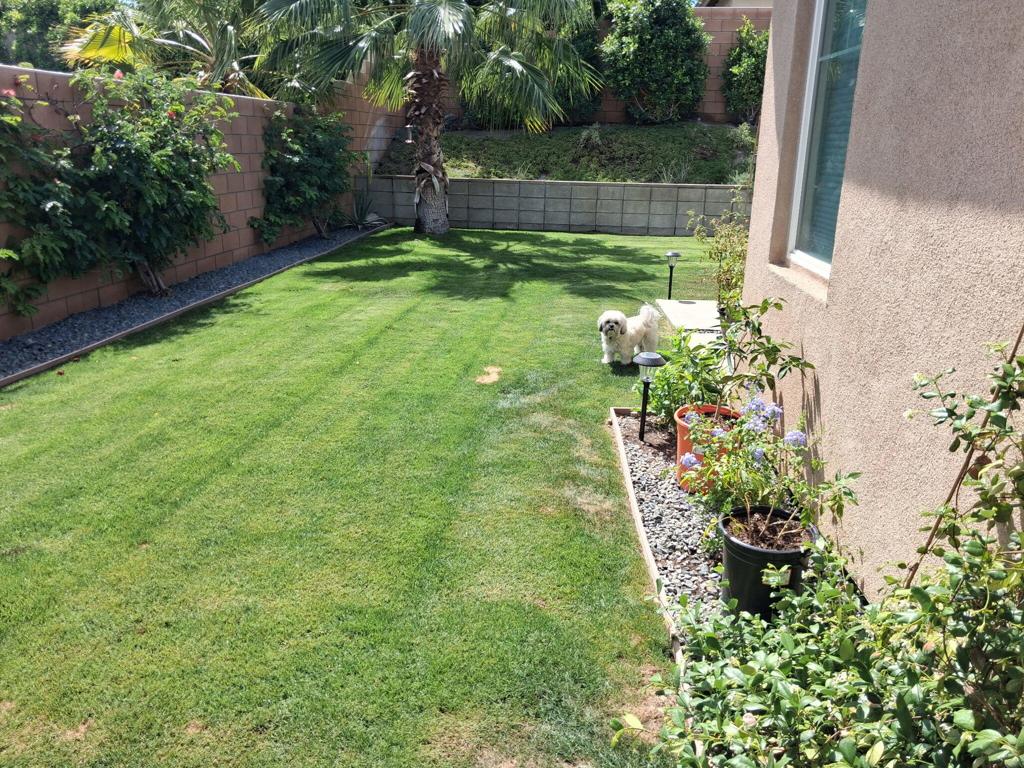 main property photo 32