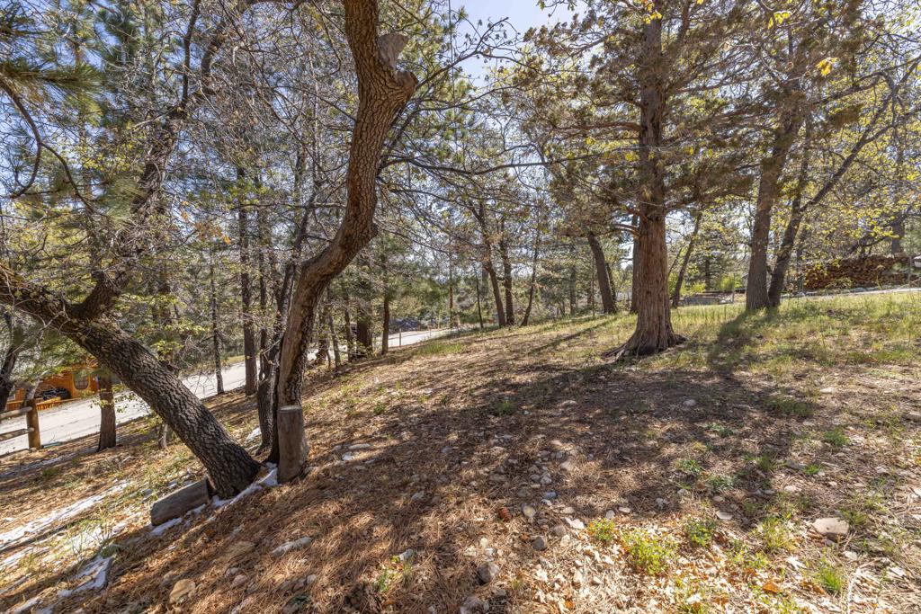 main property photo 22