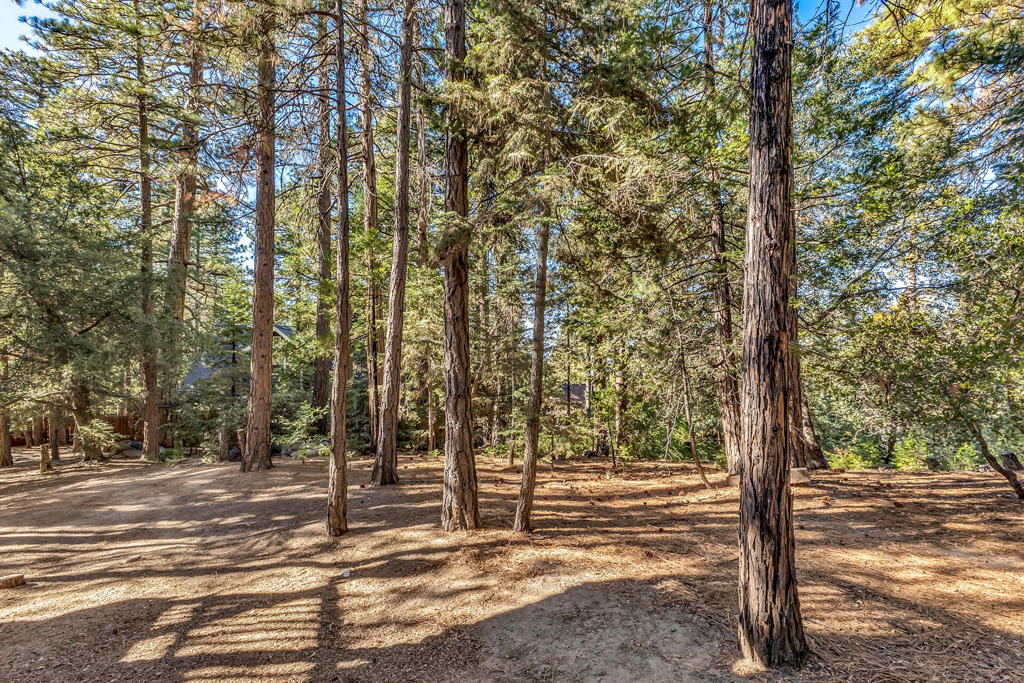 main property photo 64