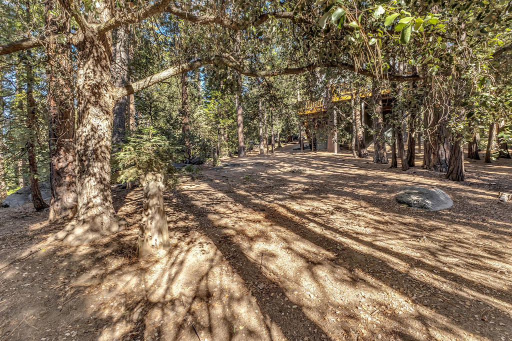main property photo 67