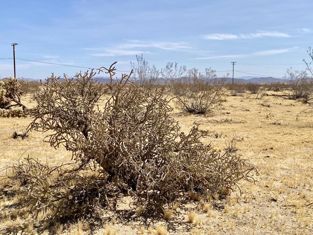 main property photo 37