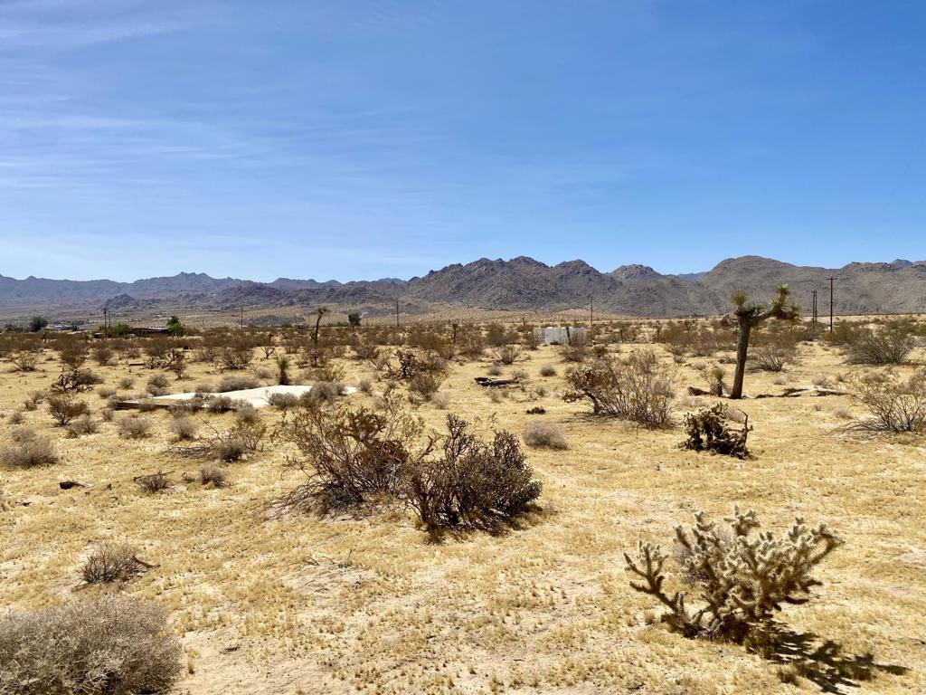 main property photo 44