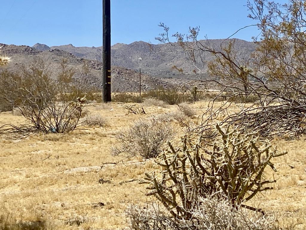 main property photo 46