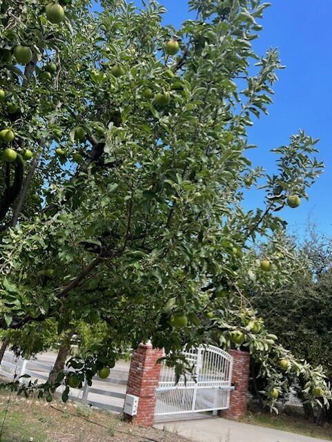 main property photo 77