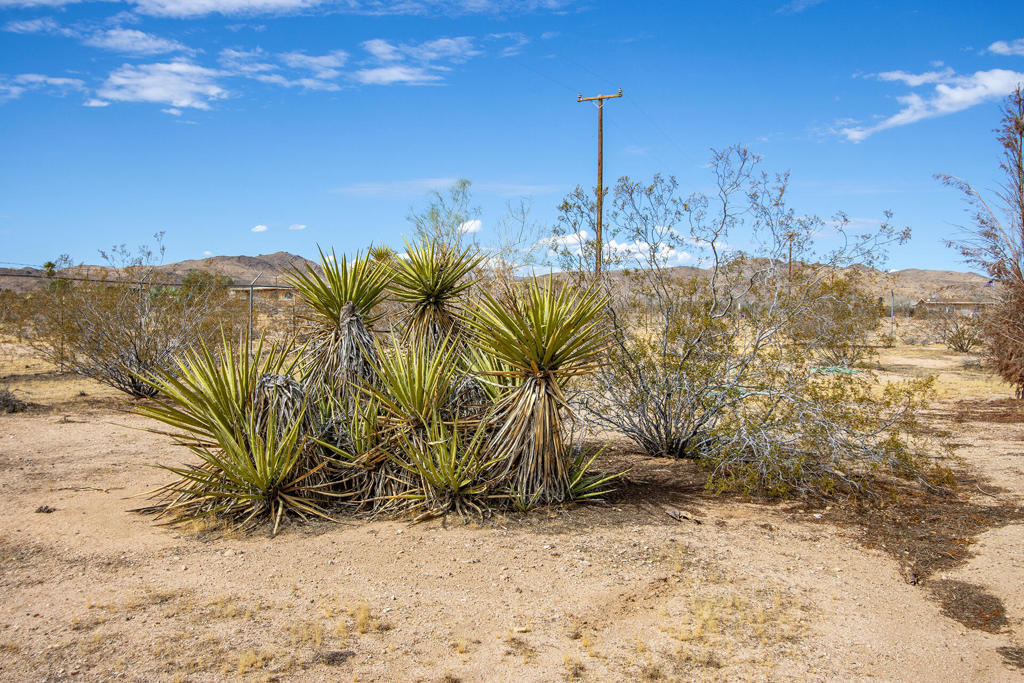 main property photo 20
