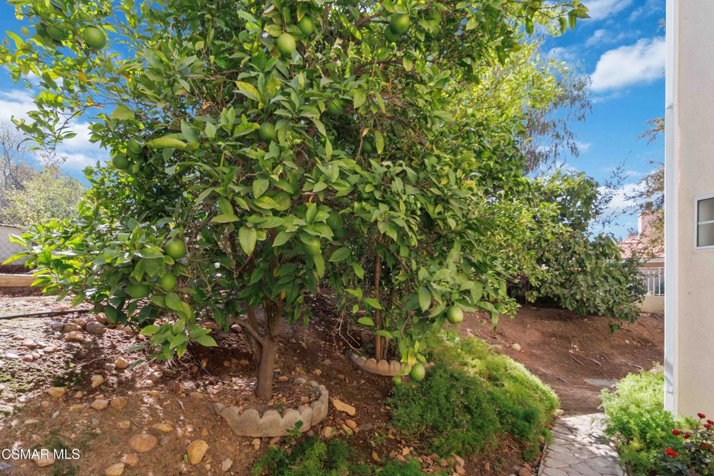 main property photo 55