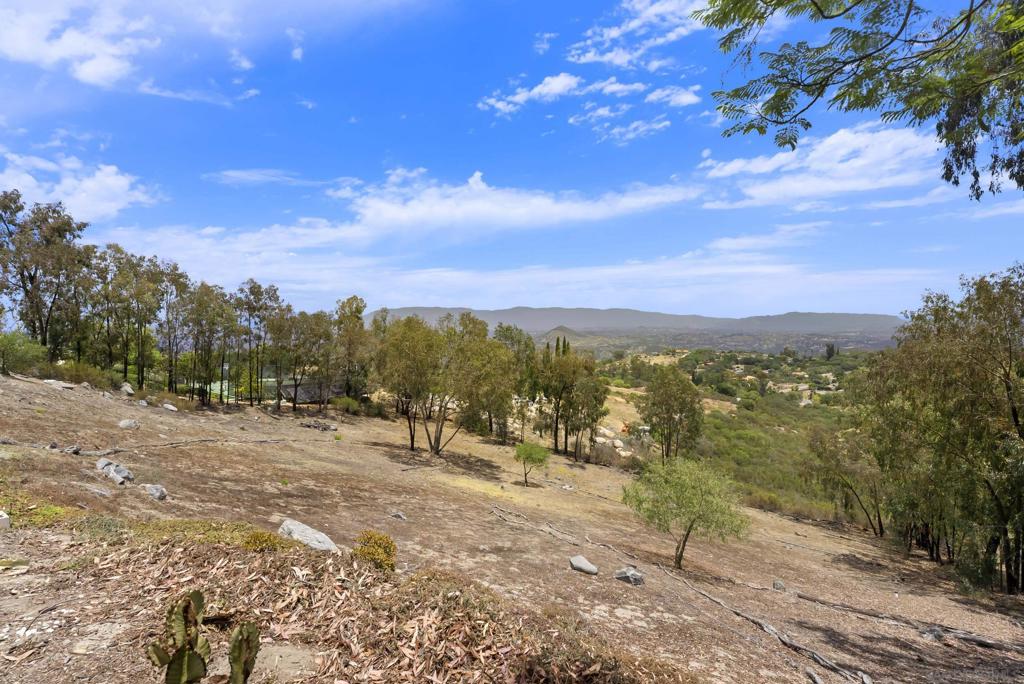 main property photo 62