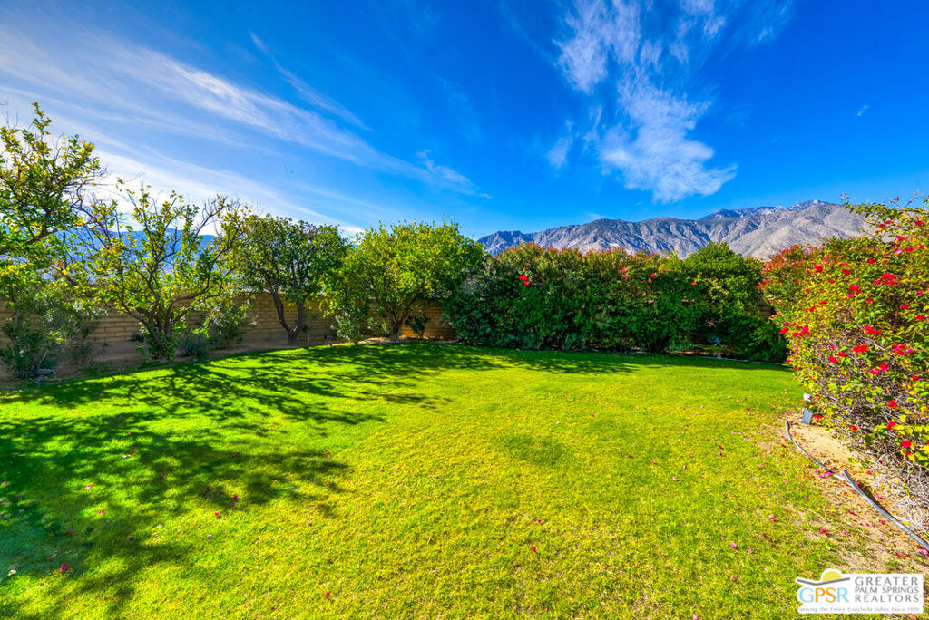 main property photo 41