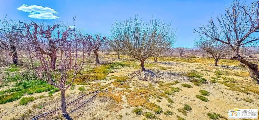 main property photo 39