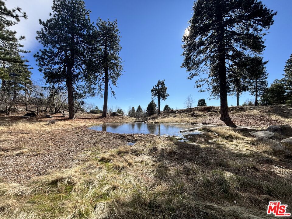 main property photo 11