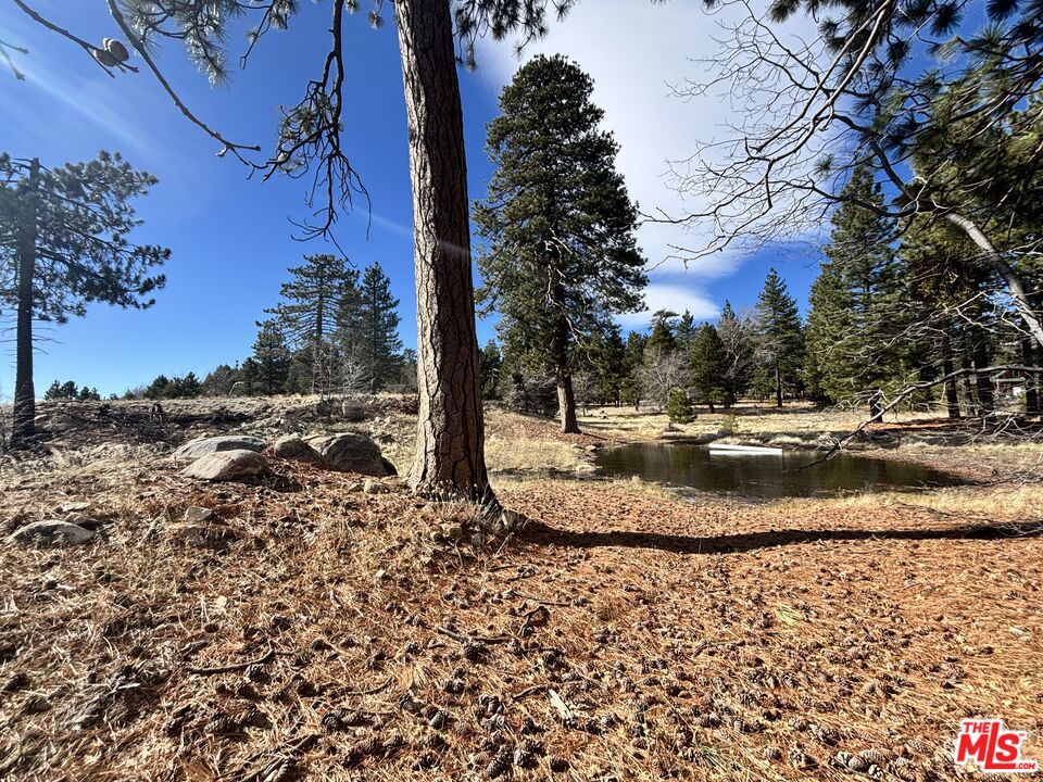 main property photo 17