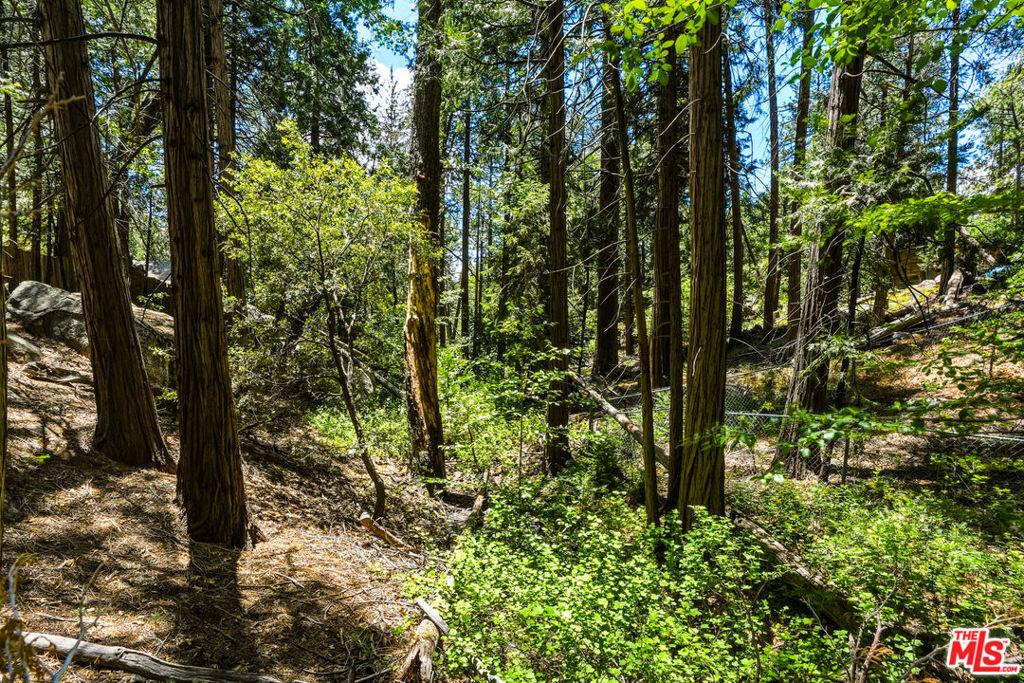 main property photo 57