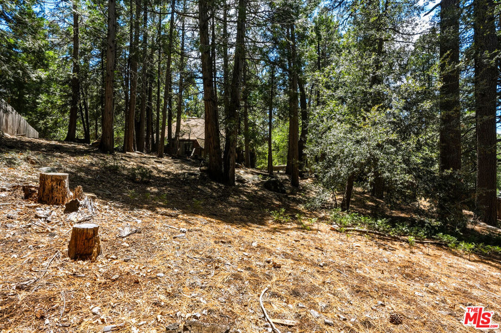 main property photo 58