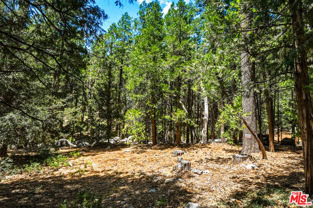 main property photo 59