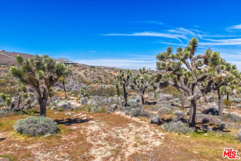 main property photo 32
