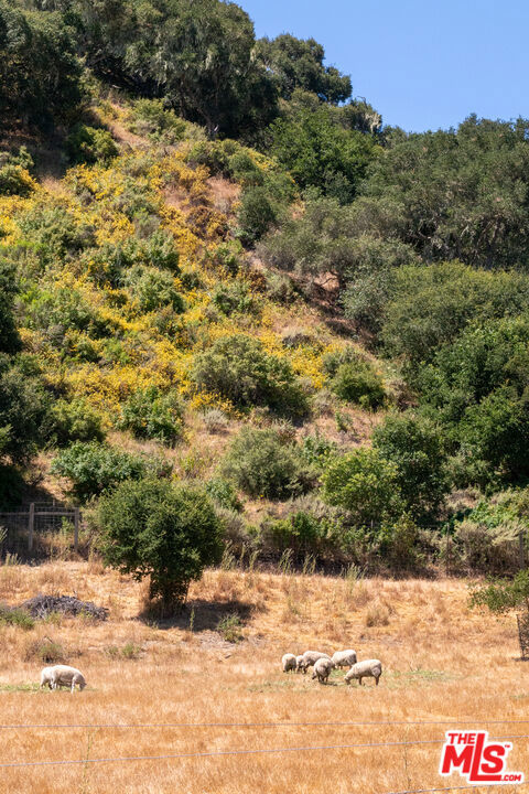 main property photo 58
