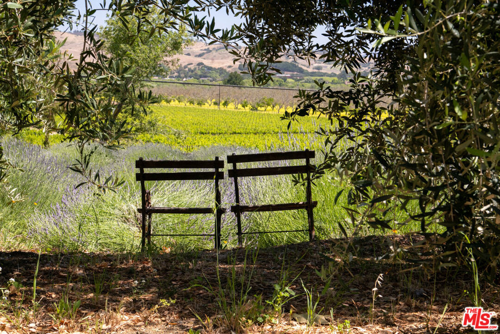 main property photo 59