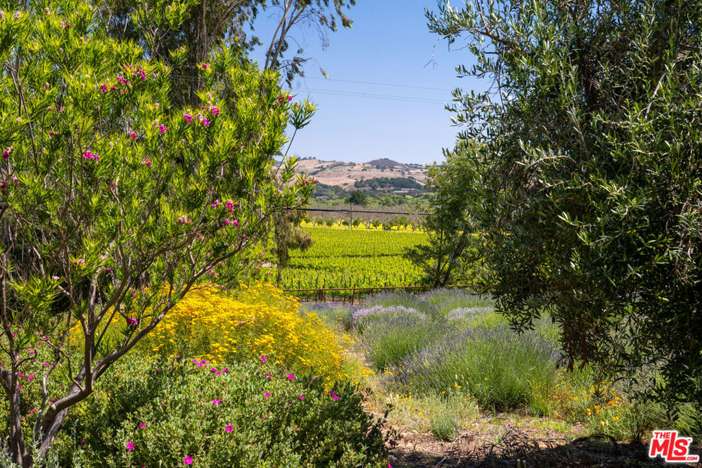 main property photo 61