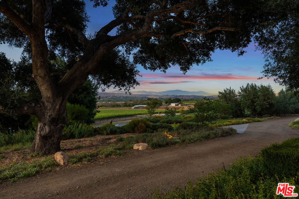 main property photo 65