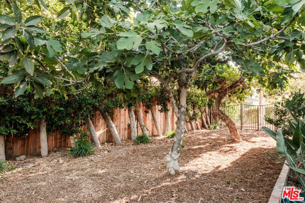 main property photo 52