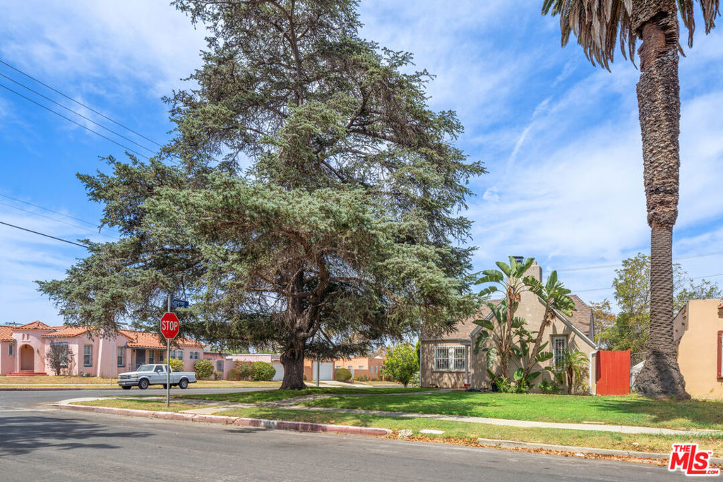main property photo 41